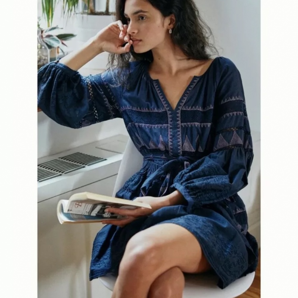 anthropologie Skye embroidered mini dress 1x
